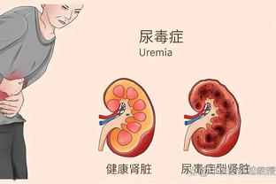 安莎社：今夏欧洲杯期间，欧足联将首次向网络大V发放媒体通行证